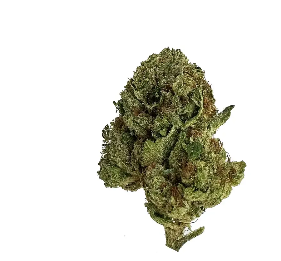 [Q-4761-04] Budz Burn LUX THC-A Flower 7G Jar (Grape Head)