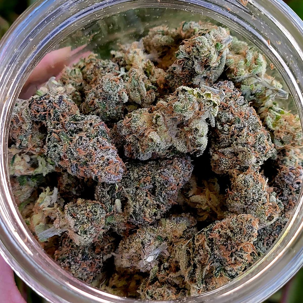 Flower THC-A 151g Jar