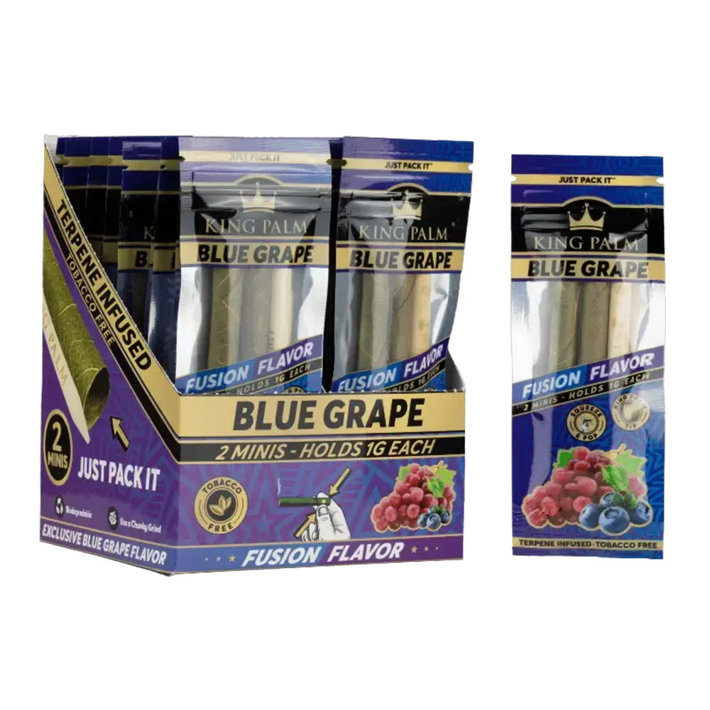 [Q-4546-03] KING PALM CONES MINI 2PK 20CT (BLUE GRAPE)