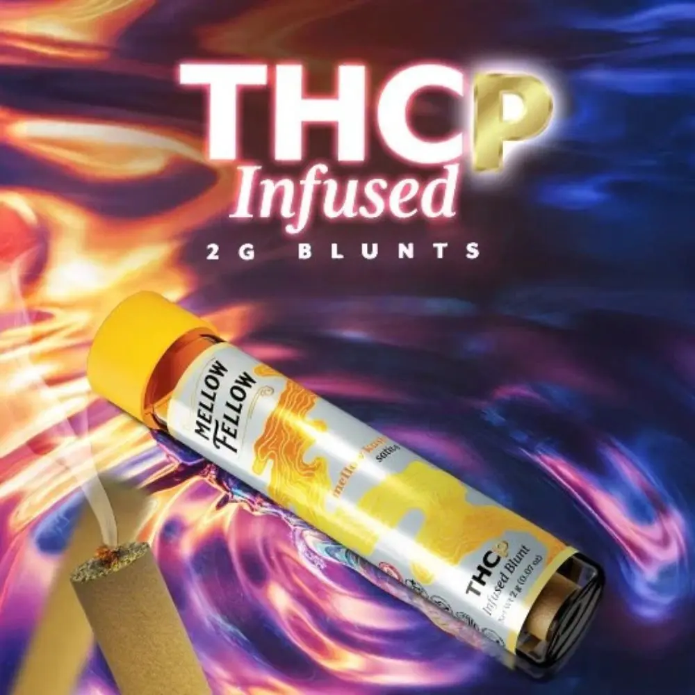 [T-1581-06] Mellow Fellow Blunts Infused Pre-Rolls 2G THC-P 12PK (Yoda OG (Indica))