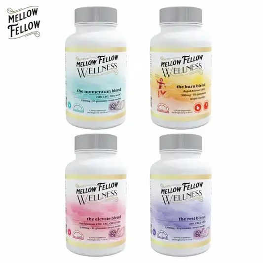 [T-1271-04] Mellow Fellow Wellness CBD- Gummies (600mg - Illuminate Blend Tropic Medley)