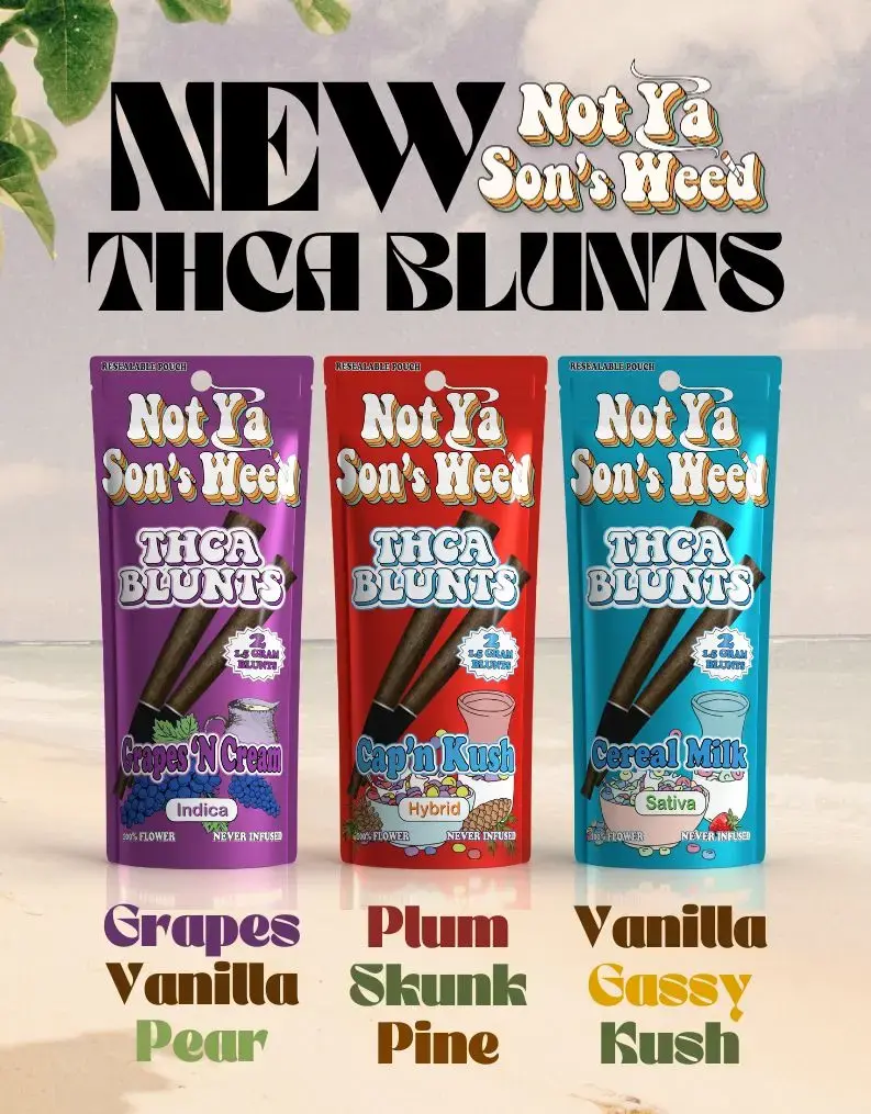 [10124-07] NOT YA SON'S WEED 2 THCA BLUNT 0.5g 20PK DISPLAY $7.49 Priced (London Purpz (Indica))