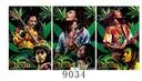 [Q-1145-05] Picture + Frame 40*60cm (Bob Marley)