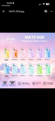 GEEK BAR Mate Kit 60000 15ML (Cool Mint)