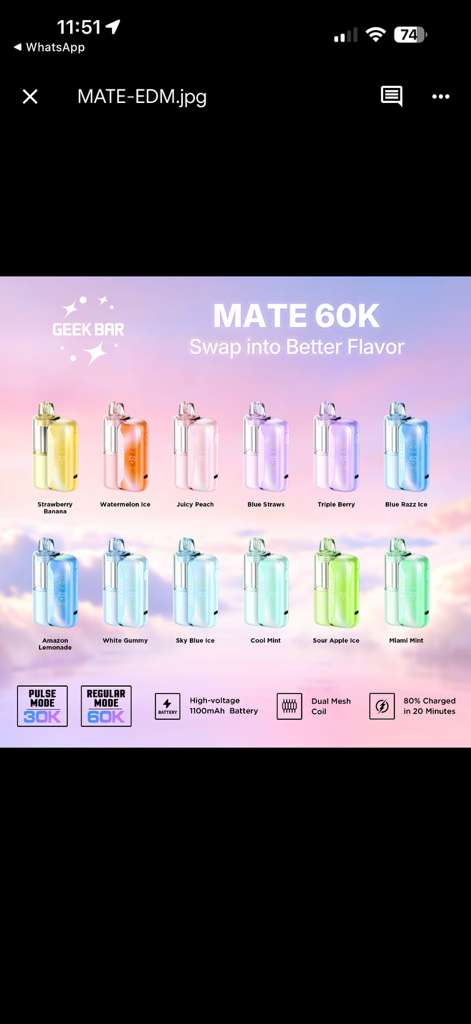 GEEK BAR Mate Kit 60000 15ML