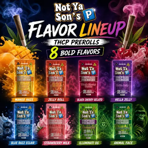 [10014-03] NOT YA SON P 2 THCP BLUNT 10PK DISPLAY (Black Cherry Gelato (Hybrid))