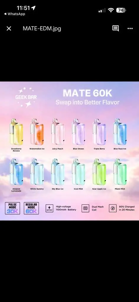 [10002-12] GEEK BAR Mate Pod 60000 15ML (Juicy Peach)