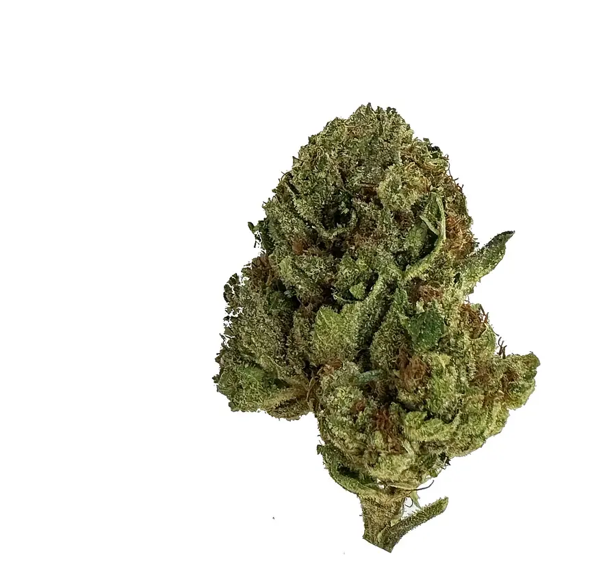 Budz Burn THC-A 2G Pre-Roll - 10ct Box
