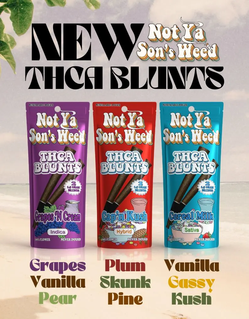 NOT YA SON'S WEED 2 THCA BLUNT 0.5g 20PK DISPLAY $7.49 Priced