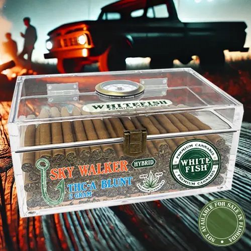 White Fish With Humidor 7G PreRoll THC-P 25PK